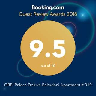 Апарт-отели ORBI Palace Deluxe Bakuriani Apartment # 310 Бакуриани Апартаменты-студио-2